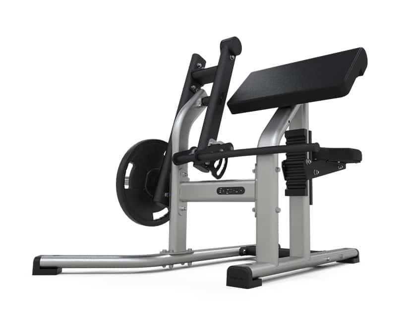 3065-1-Seated-Bicep-Curl
